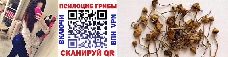 Псилоцибиновые грибы мухоморы  Енисейск 